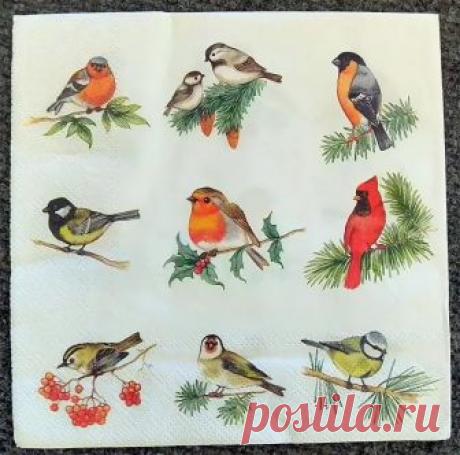 бумага для блокнотов со снегирями: 10 тыс изображений найдено в Яндекс.Картинках