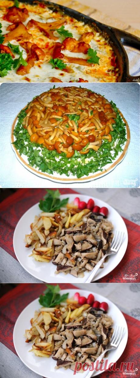Блюда с грибами | Записи в рубрике Блюда с грибами | Вкусные рецепты!