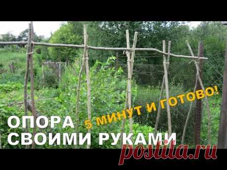 ШПАЛЕРА СВОИМИ РУКАМИ ЗА 5 МИНУТ для фасоли, огурцов - YouTube