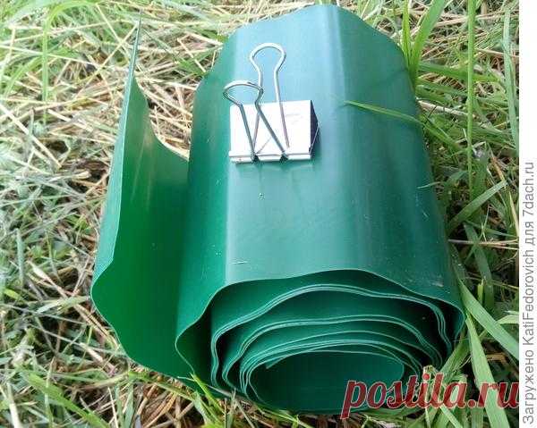 Оформление приствольного круга у саженцев: очень просто и быстро