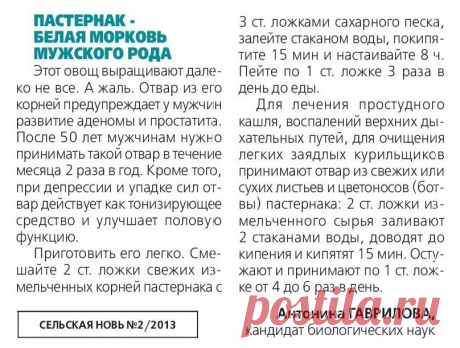 Пастернак - белая морковь мужского рода