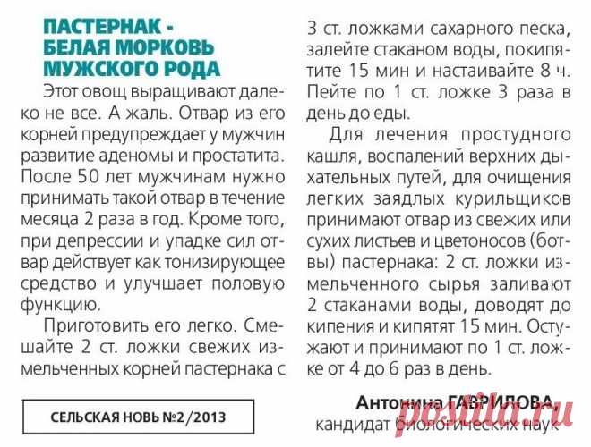 Пастернак - белая морковь мужского рода