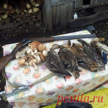 Охотничий суп