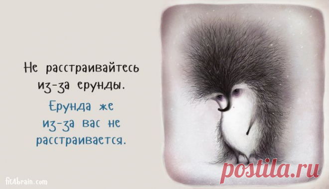 Копилка самых бесценных работающих советов! - медиаплатформа МирТесен
