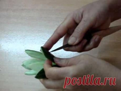Tỉa hoa lyna từ dưa chuột.mp4