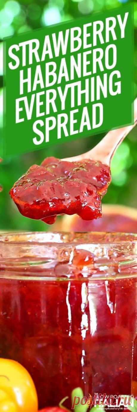 Strawberry Habanero Everything Spread
