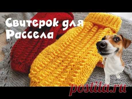 ВЯЖЕМ СВИТЕР ДЛЯ ДЖЕКА РАССЕЛА. Мастер класс