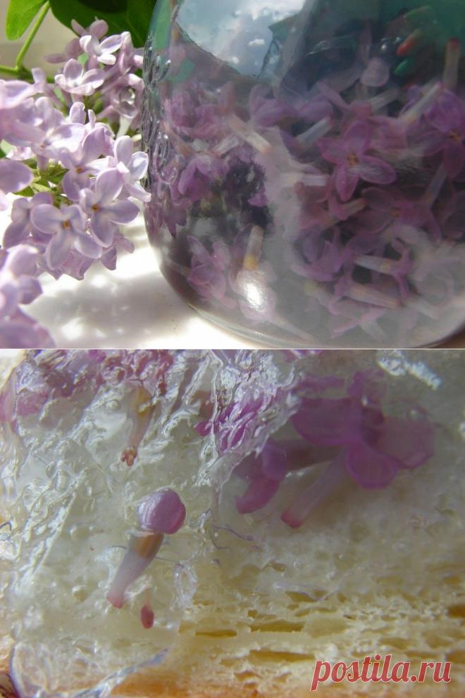 Confitura-de-lilas- конфитюр из сирени