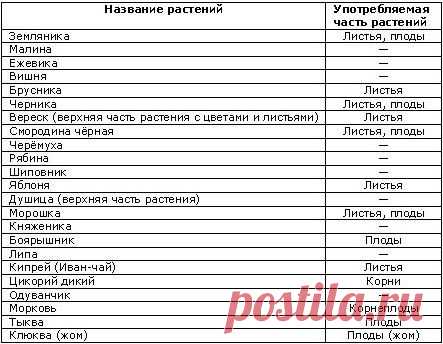 Энциклопедия Технологий и Методик - Производство заменителей чая в домашних условиях