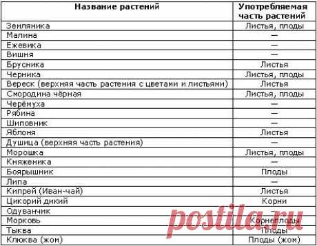 Энциклопедия Технологий и Методик - Производство заменителей чая в домашних условиях