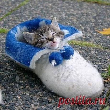 уютненько