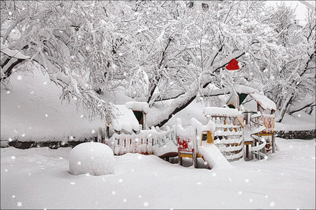 Смотрю в окно — и сердце замирает:
Там, на дворе, — прекрасный снежный мир!
Зима сюжеты тонко собирает,
Наметив блеском трепетный пунктир.
Сюжет один. Сверкая белым мехом,
Плывёт деревьев стройный хоровод,
А на него с звенящим, тихим смехом
Алмазы щедро сыплет небосвод.
Второй сюжет пронизан нитью света.
Прошито всё — и небо и земля!
Лучи скользят меж туч, домов и веток,
Ложась морозной радугой в поля.
Ах, мне зима мила в любых явленьях!
Люблю метель и сказочную тишь,
Когда бело —
