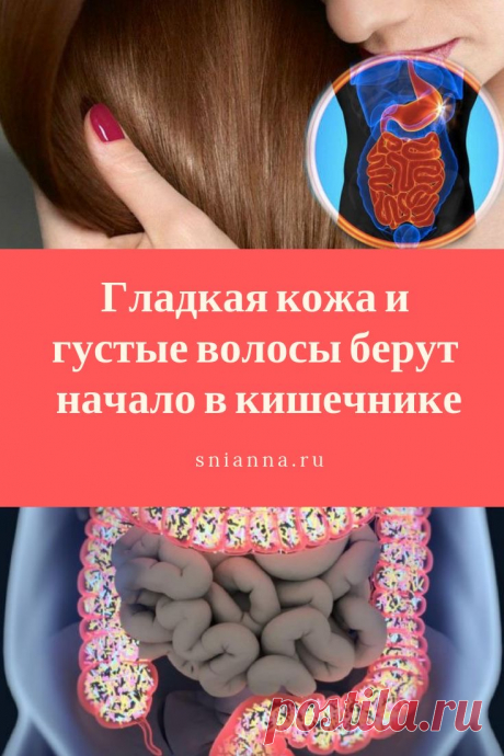 Гладкая кожа и густые волосы берут начало в кишечнике. Здоровая кишечная флора представляет собой неприступный бастион на пути возбудителей болезней. Одновременно она производит витамины, такие как биотин или витамин К,  ➡️ Кликайте на фото, чтобы прочитать статью полностью