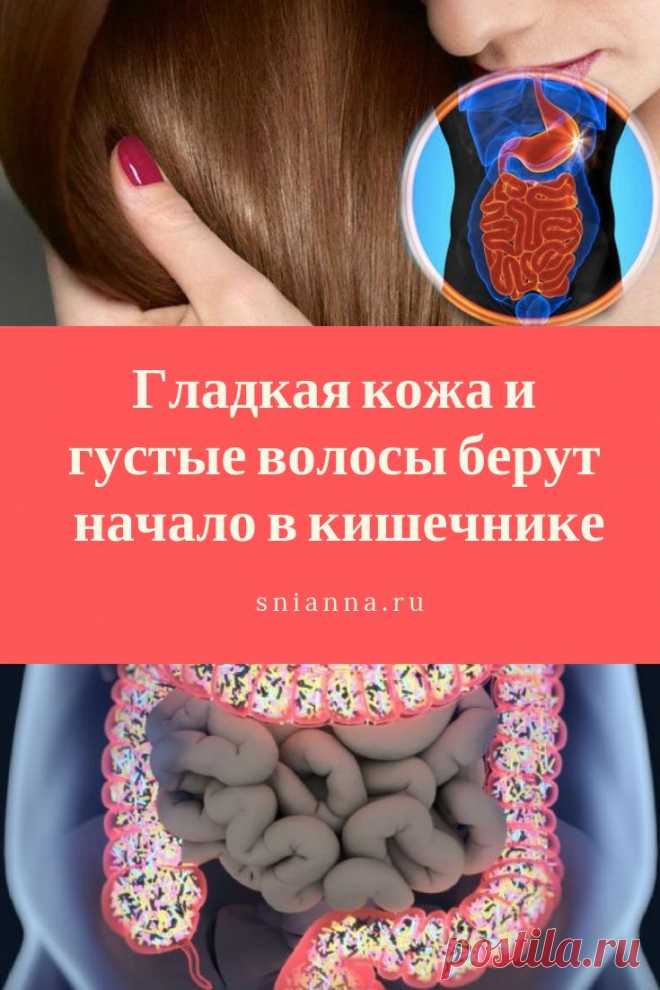 Гладкая кожа и густые волосы берут начало в кишечнике. Здоровая кишечная флора представляет собой неприступный бастион на пути возбудителей болезней. Одновременно она производит витамины, такие как биотин или витамин К,  ➡️ Кликайте на фото, чтобы прочитать статью полностью