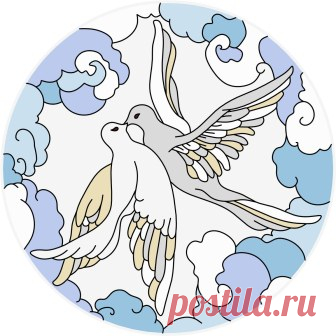 C364.jpg (Изображение JPEG, 336 × 336 пикселов)