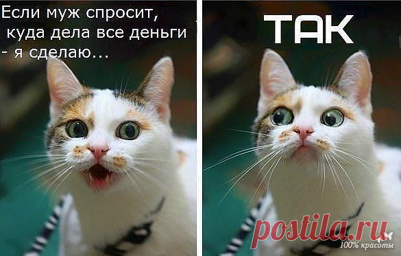 100% красоты | ВКонтакте