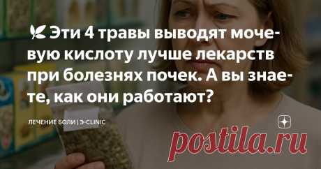 🌿Эти 4 травы выводят мочевую кислоту лучше лекарств при болезнях почек. А вы знаете, как они работают? Статья автора «Лечение боли» в Дзене ✍: 🧨 Одна женщина заваривала «почечный чай» каждый день — и оказалась на капельнице. Хотя пила то, что советуют в интернете. Без боли. Без температуры.