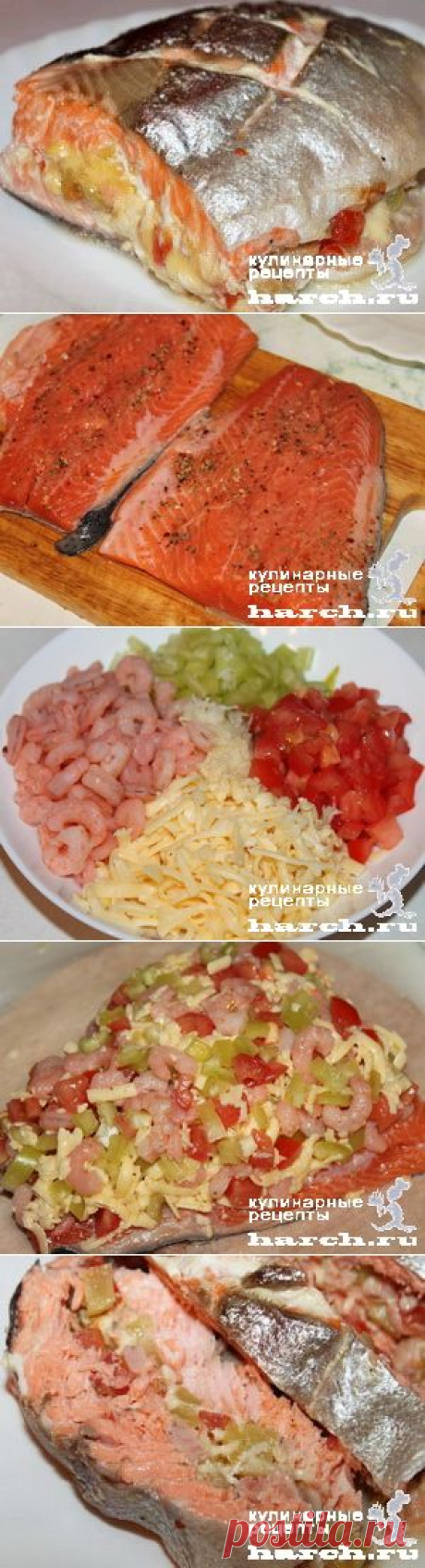 «Бандероль» из семги с креветками, сыром и овощами | Фоторецепт с подробным описанием от Харч.ру