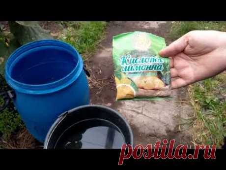 Как подготовить воду для опрыскивания?