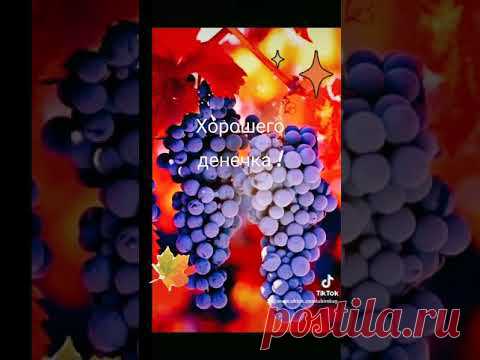 ХОРОШЕГО ДЕНЕЧКА ! ТЕПЛА ВАМ, СОЛНЦА И ДОБРОГО ЗДОРОВЬЯ ! ... #хорошегоденечка