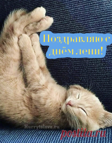 В этот классный лени день
Не пилить, не кантовать,
Дайте лучше нам поспать!
Мы особо поздравляем
Всех, как мы, профи лентяев!