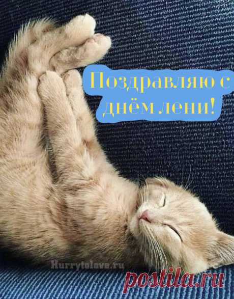 В этот классный лени день
Не пилить, не кантовать,
Дайте лучше нам поспать!
Мы особо поздравляем
Всех, как мы, профи лентяев!