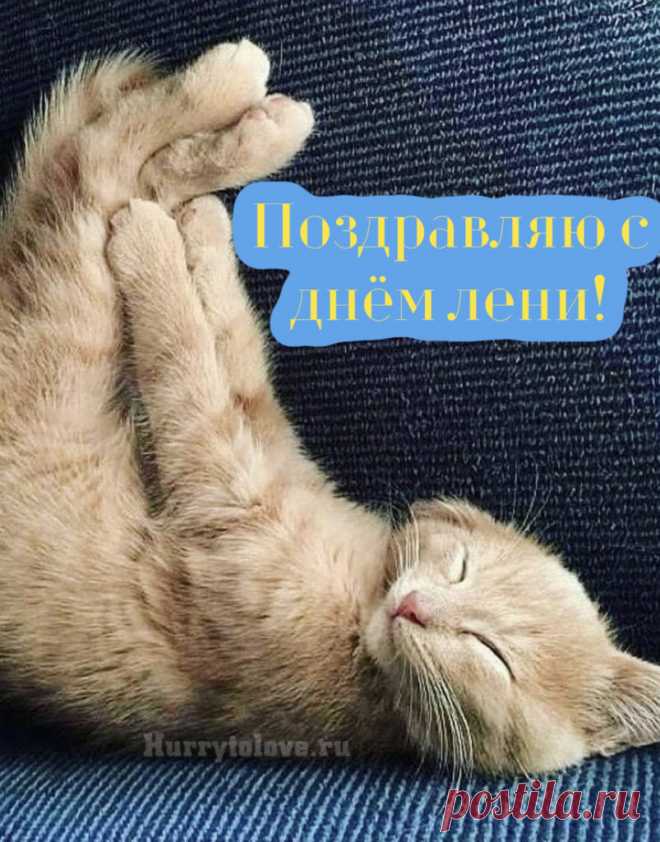 В этот классный лени день
Не пилить, не кантовать,
Дайте лучше нам поспать!
Мы особо поздравляем
Всех, как мы, профи лентяев!