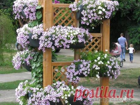 Как сделать красивые кашпо для цветов для сада, дачи