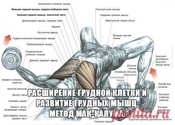 Расширение грудной клетки и развитие грудных мышц / Только машины