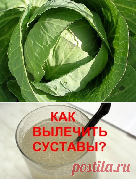 Лечим суставы!