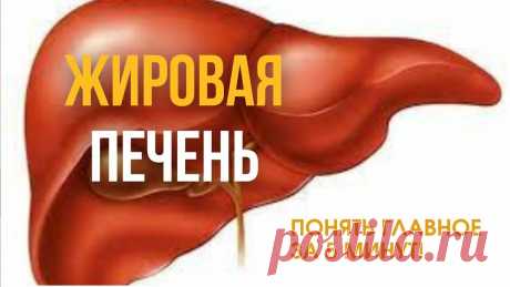 &quot;Жировая печень&quot; - у 37% взрослых! Как защитить печень от жирового гепатоза? | Система Соколинского. Видео. Исследования | Дзен