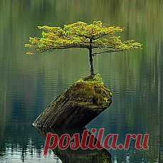 Удивительное рядом...