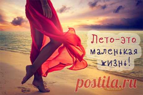 Лето картинки