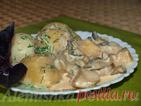 Жареные белые грибы, рецепт. С картошкой на гарнир