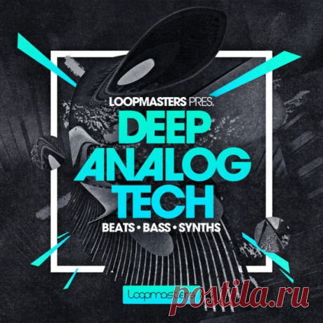 Loopmasters Deep Analog Tech MULTiFORMAT  | 770.56 MB
present Deep Analogue Tech a sculpted sound bank of rich analogue synthesis and powerful raw beats dedicated to Tech House producers looking for the inspiration for their next underground production.