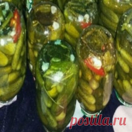 Хоромы Игоря Николаева шокировали общественность. От этих фото вы потеряете дар речи - МирТесен