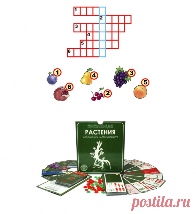 Интересные слова для игры Крокодил (более 500 слов)