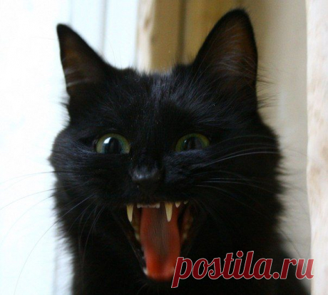 СТРАШНО...........ЩАС Я ВАС!!!!!!!ПРОГЛОЧУ,РАСТОПЧУ.......Не помилую=)))