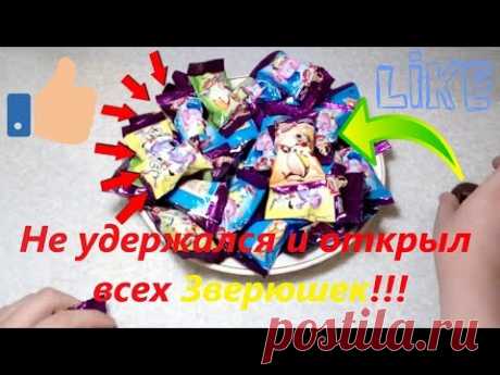 Открыл много ФИГУРОК - Зверушки детский сувенир! / Opened a lot of FIGURES, Animals baby gift! - YouTube