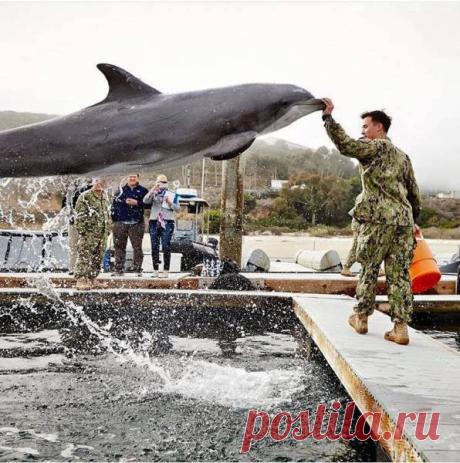 Лучше фотошопа: 14 фотографий, которые сняты точно вовремя