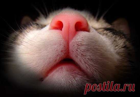 Доброе утро