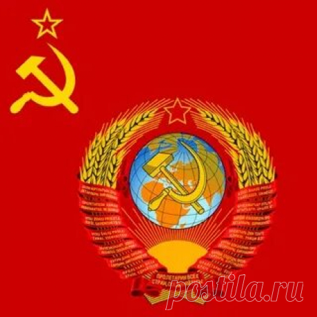 i (320×320)