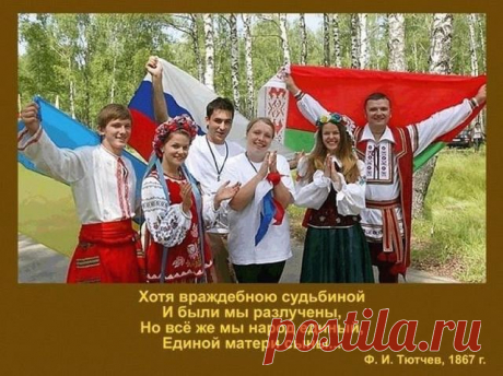 (1) Одноклассники