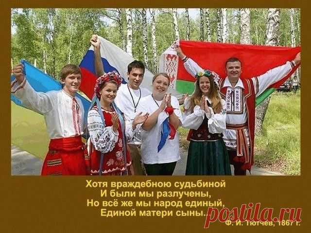 (1) Одноклассники