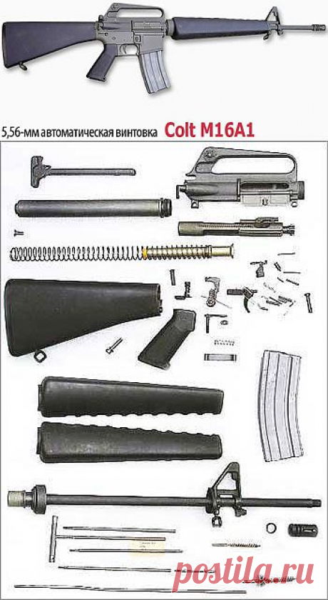 (+1) тема - 5,56-мм автоматическая винтовка Colt M16A1 | Энциклопедия оружия