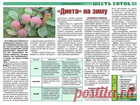 &quot;Диета&quot; на зиму