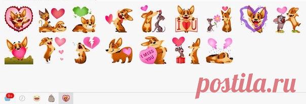 Вельш Корги Пемброк & Вельш Корги Кардиган! | ВКонтакте