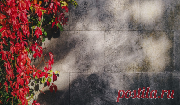 Магнитные бури сегодня: прогноз на 23 октября - тихий и спокойный день