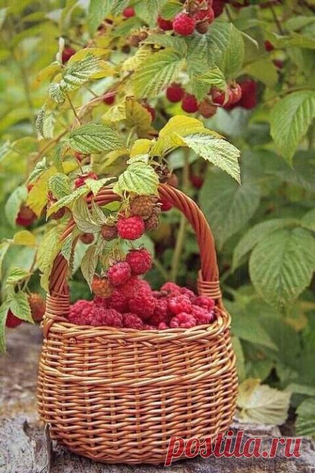 i (480×720)