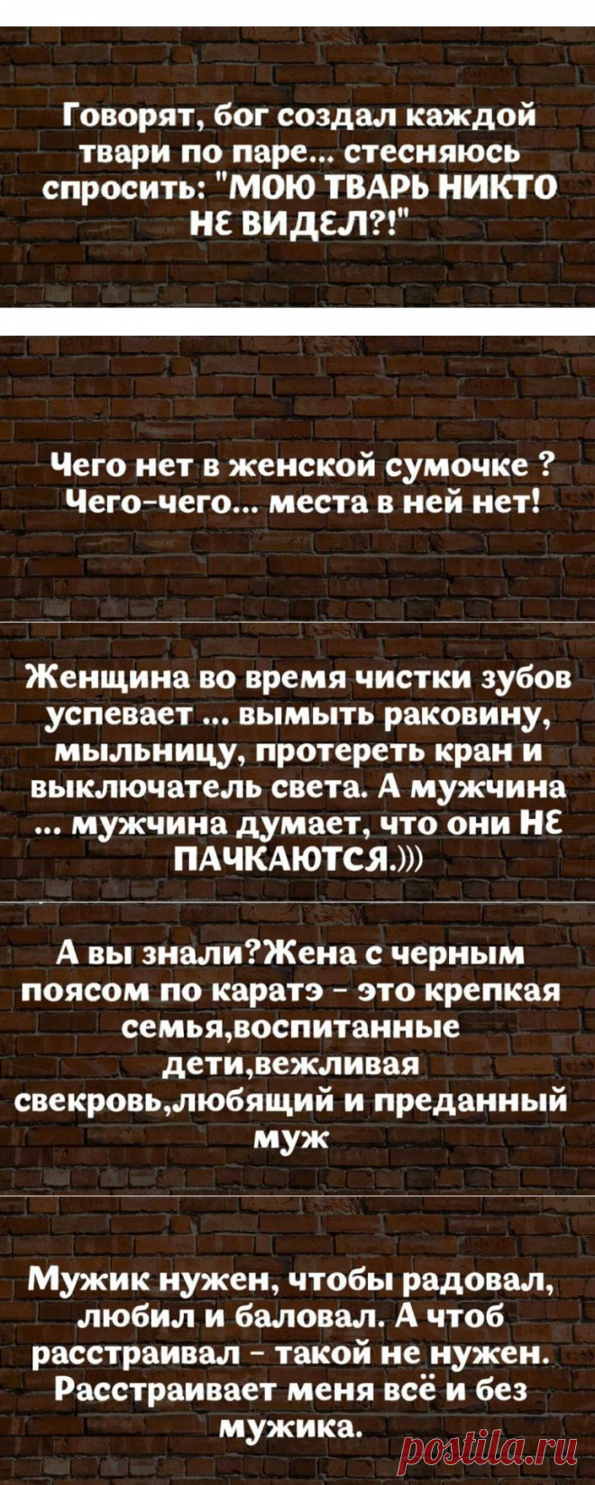 18 высказываний от мудрых женщин с юмором